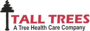 Tall Trees Logo